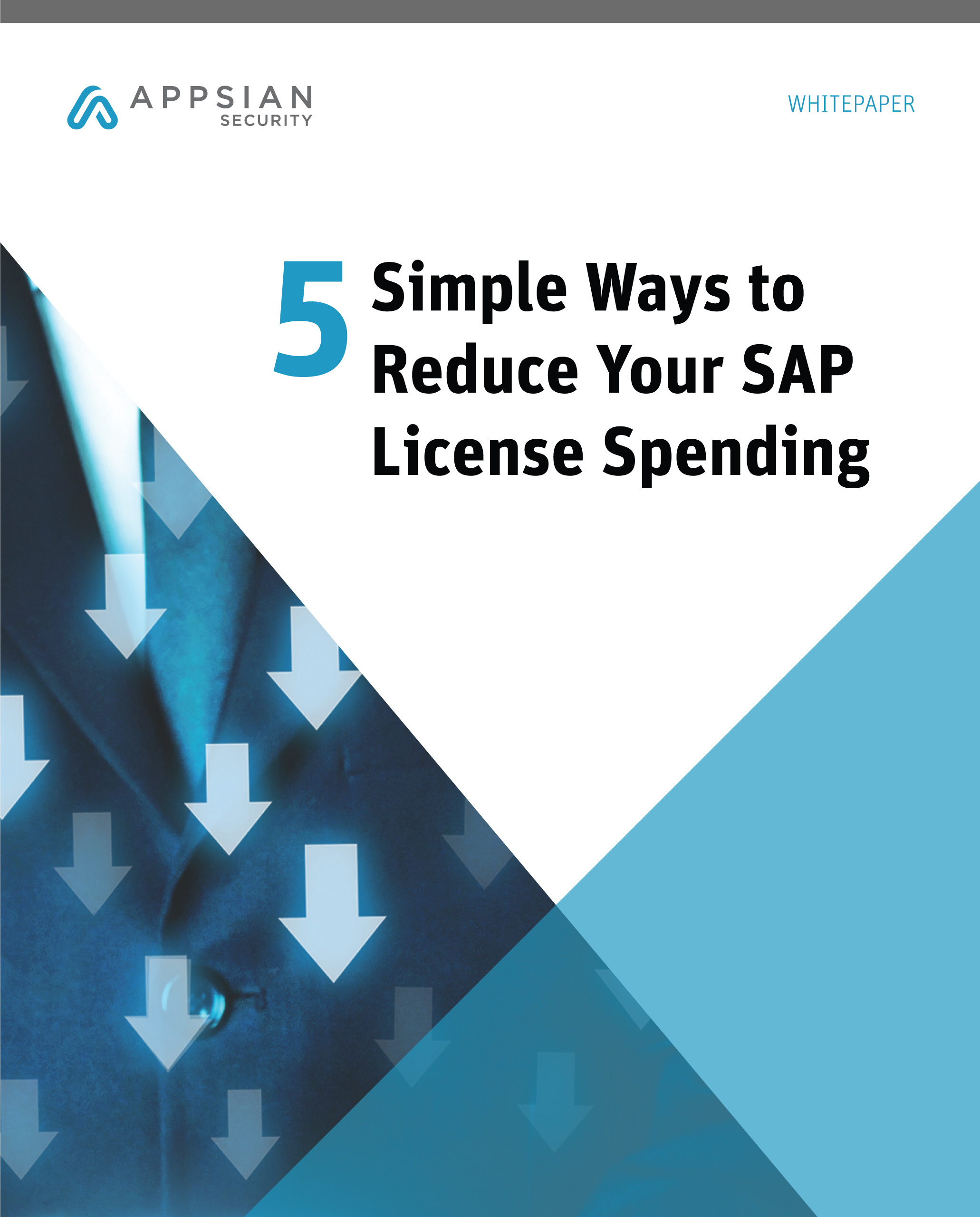 5 Simple Ways to Reduce Your SAP® License Spending