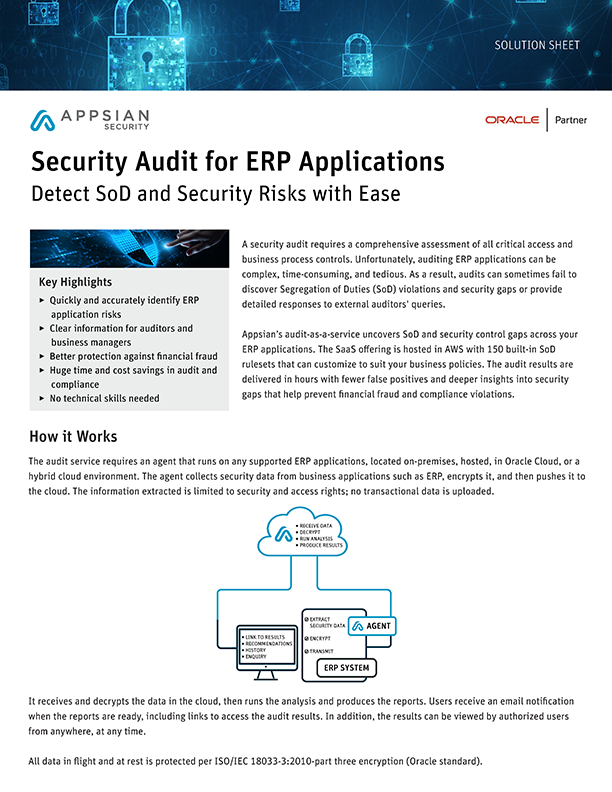 Security Audit for ERP Applications